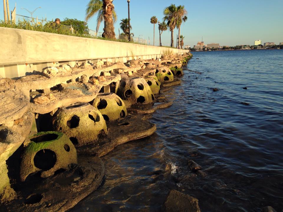 Living shoreline - reef balls