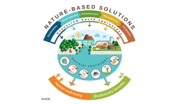 Nature based solutions - IUCN
